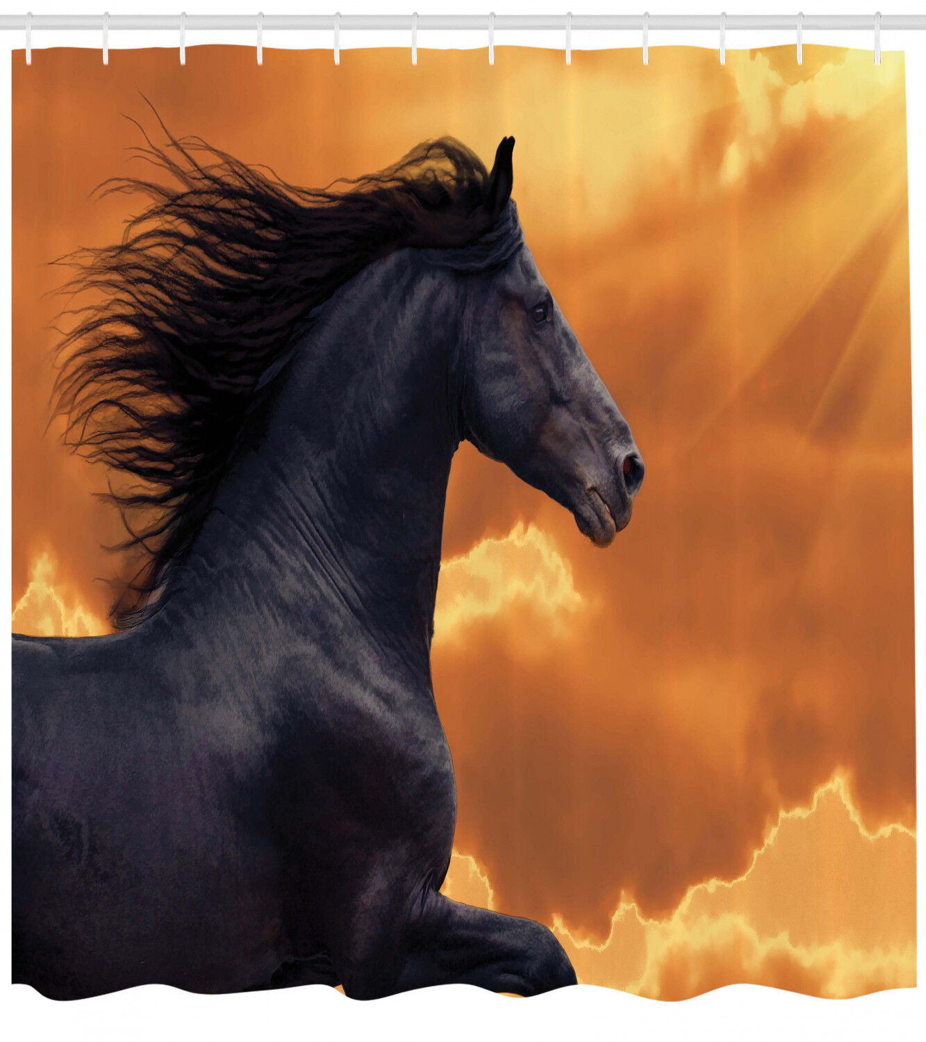Frisian Horse Portrait Shower Curtain with Warm Hot Sun Rays
