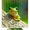 Frog On Bole Waterproof Shower Curtain - A Fun And Quirky Touch To Your Bathroom Decor