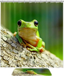 Frog On Bole Waterproof Shower Curtain - A Fun And Quirky Touch To Your Bathroom Decor