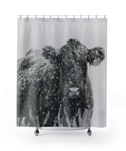 Frosty Lady Winter Blue Shower Curtain
