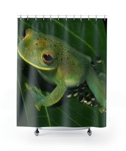 Fun And Adorable Frog Shower Curtain - A Perfect Addition To Your Bathroom Decor