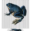 Fun And Playful Frog Waterproof Shower Curtain - A Perfect Addition To Your Bathroom Decor