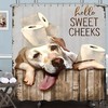 Fun And Rustic Shower Curtain For The Bathroom With Dog Print, Retro Western And Farmhouse Design