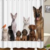 Fun Dog And Cat Shower And Bath Curtain - Cute Bathroom Decor