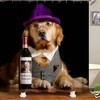Fun Dog Bath Shower Curtain - Humorous And Playful Bathroom Accessory