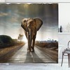 Fun Elephant Shower Curtain With Walking Down A Road Print For Your Bathroom