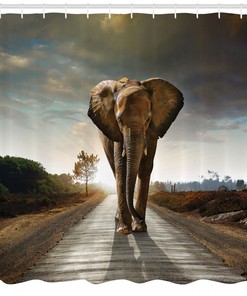 Fun Elephant Shower Curtain With Walking Down A Road Print For Your Bathroom