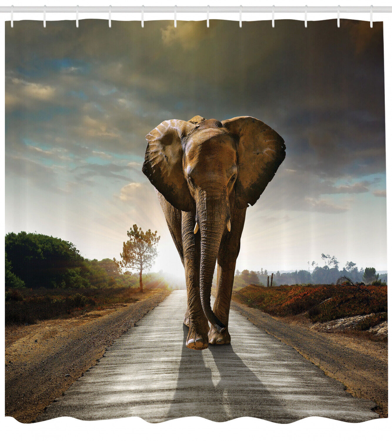 Fun Elephant Shower Curtain With Walking Down A Road Print For Your Bathroom