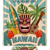 Fun Hawaii Party Shower Curtain For Bathroom Decorr