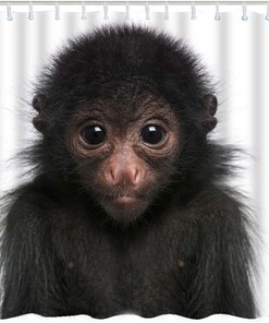 Fun Monkey Fabric Shower Curtain With Wildlife Fluffy Cute Look Fur Big Eye Head Nature Zoo Theme