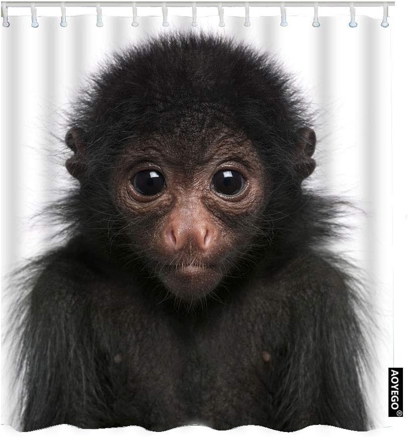 Fun Monkey Fabric Shower Curtain With Wildlife Fluffy Cute Look Fur Big Eye Head Nature Zoo Theme