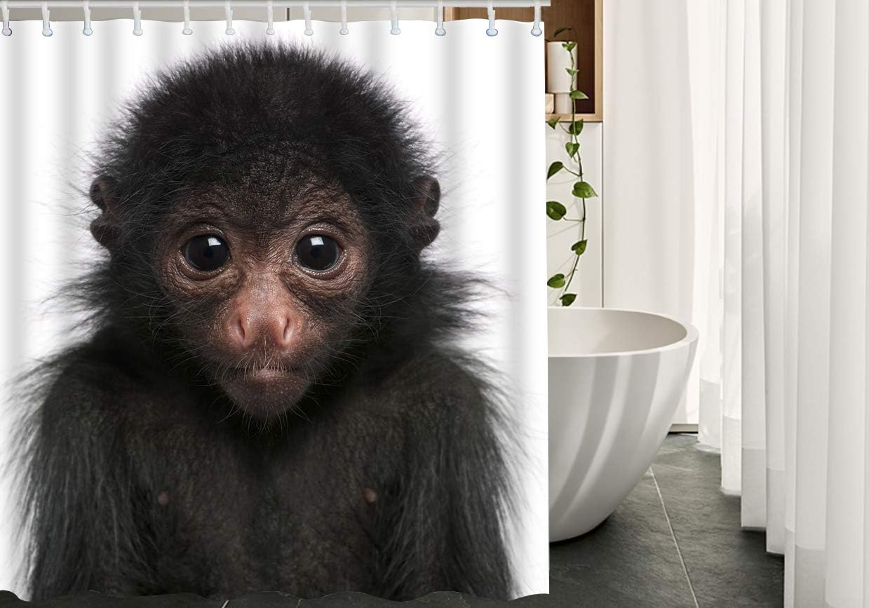 Fun Monkey Fabric Shower Curtain With Wildlife Fluffy Cute Look Fur Big Eye Head Nature Zoo Theme - Image 2