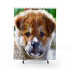 Funny And Adorable Dog Shower Curtain By Gianna Valenti For Bathroom Decor