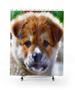 Funny And Adorable Dog Shower Curtain By Gianna Valenti For Bathroom Decor