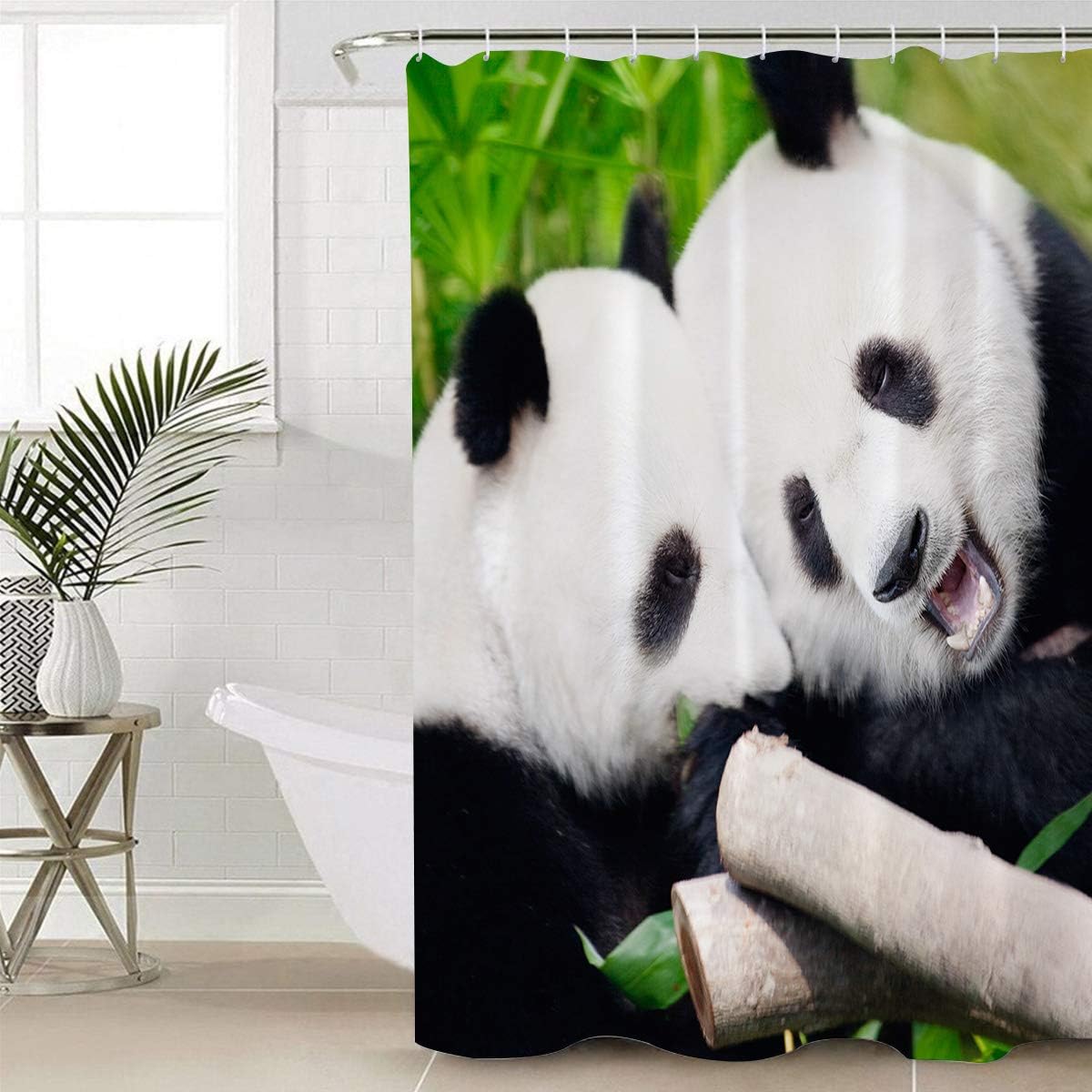 Funny Animal Bear Panda with Bamboo Pattern Unique Shower Curtain for Bathroom Decor