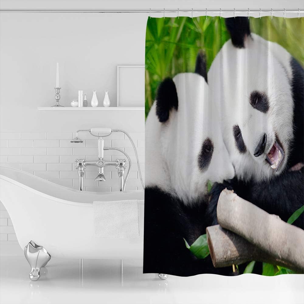 Funny Animal Bear Panda with Bamboo Pattern Unique Shower Curtain for Bathroom Decor
