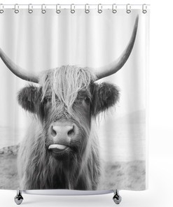 Funny Animal Wildlife Highland Cow Portrait Waterproof Fabric Shower Curtain