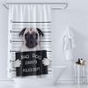 Funny Cartoon Animal Wind Shower Curtain, Creative Gift Idea