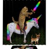 Funny Cat Riding Unicorn Horse Dog Shower Curtain With Whimsical Design