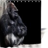 Funny Chimpanzee Shower Curtain With Monkey Animal Zoo Park Cloth Fabric For Bathroom Decor