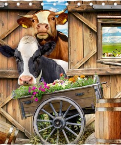 Funny Cows Western Wildlife Animal Wood Rustic Farmhouse Shower Curtain For Bathroom 