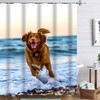 Funny Dachshund Shower Curtain For Beach Lovers - Waterproof Fabric Bathroom Decor