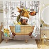 Funny Farmhouse Cow Shower Curtain - A Whimsical And Playful Design For Your Bathroom Decor