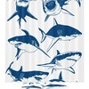 Funny Horse Farm Animal Shower Curtain Kids Bathroom Decor With Cute And Funny Design 