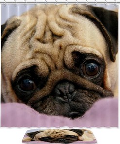Funny Pug Puppy Dog Waterproof Shower Curtain For Bathroom