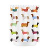 Funny Wiener Dog Shower Curtain With Quotes