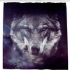 Galaxy Wolf Bathroom Decor Shower Curtain, RASHU Waterproof Fabric Bath Curtain Set