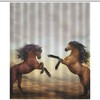Get Inspired By The Beauty Of Horses With This Personalized Nobel Horse Shower Curtain