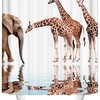 Giraffe And Elephant Animal Shower Curtain Art Bathroom Decor Waterproof Fabric
