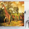 Giraffe Shower Curtain, Unique Animal Print For Bathroom