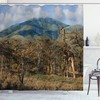 Giraffe and Trees Safari Zoo Animal Print Shower Curtain for Bathroom