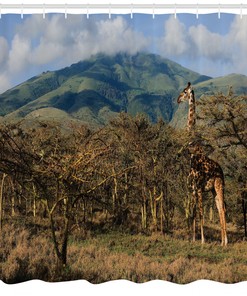 Giraffe and Trees Safari Zoo Animal Print Shower Curtain for Bathroom