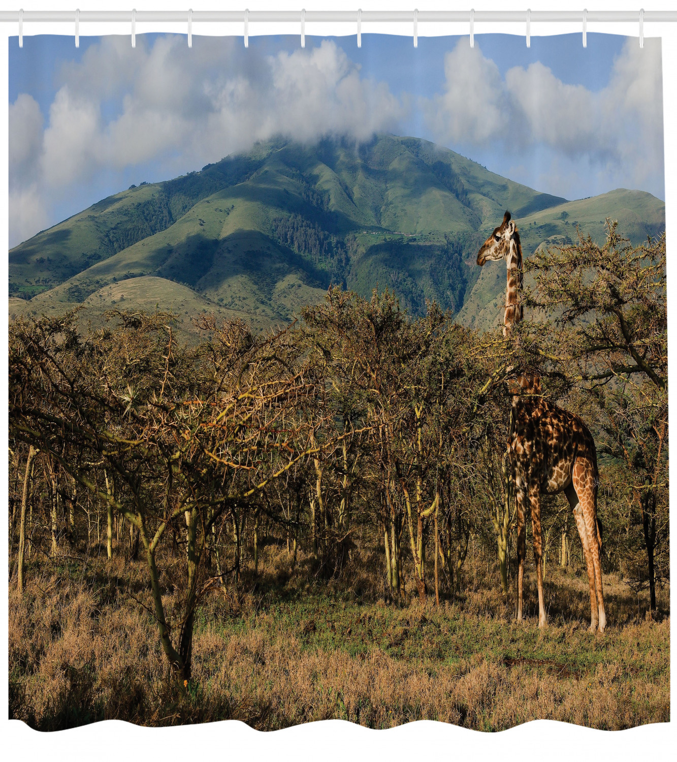 Giraffe and Trees Safari Zoo Animal Print Shower Curtain for Bathroom