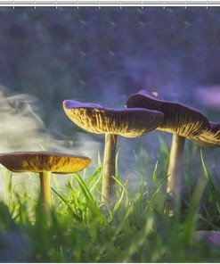 Glowing Mushrooms Shower Curtain Fabric Bath Curtain Decoration