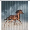 Golden Brown Horse Runs In The Desert Shower Curtain With Waterproof Bath Fabric, Perfect For Western Bathroom Decor