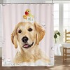 Golden Retriever Bath Soap Wash Shower Curtain - Humorous And Fun For Dog Lovers Bathroom Decor