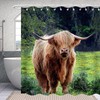 Grass And Bull Highland Cow Fabric Shower Curtain For Farmhouse Bathroom