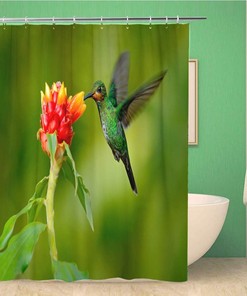 Green Crowned Brilliant Heliodoxa Jacula Hummingbird Shower Curtain