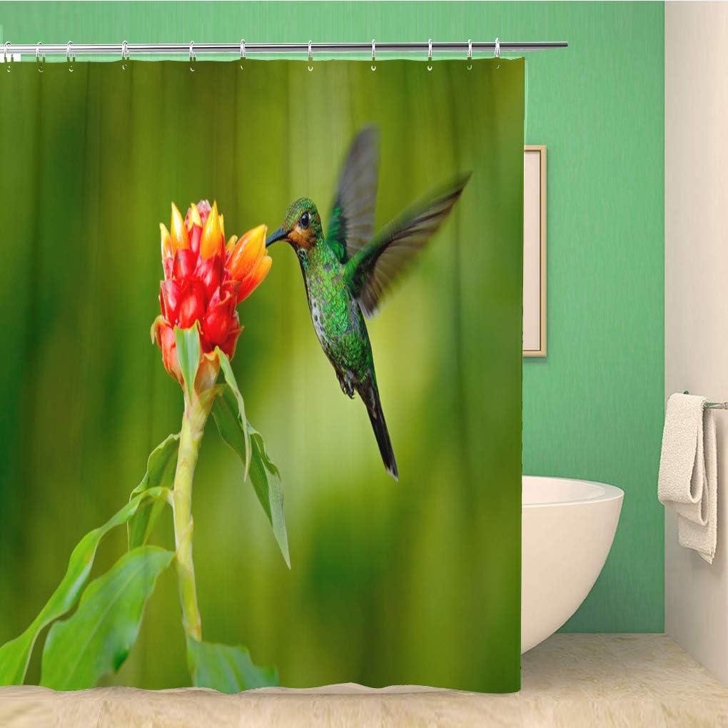 Green Crowned Brilliant Heliodoxa Jacula Hummingbird Shower Curtain