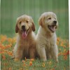 Green Dogs Shower Curtain - Cute Pup Floral Meadow Theme - Waterproof Washable Bathroom Decor