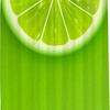 Green Lemon Shower Curtain - Cute Sliced Fruit Pattern Theme - Waterproof Washable Bathroom Decor