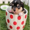 Green Snoopy Dog Shower Curtain - Spotted Cup Theme - Waterproof Washable Bathroom Decor