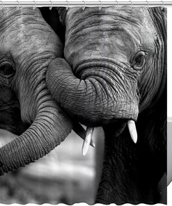 Grey Elephant Shower Curtain with a Modern Touch