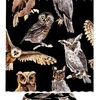 Hand Drawn Brown Owl Bird Shower Curtain - Waterproof Fabric Bathroom Decoration