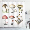 Hand Drawn Fungus Mushroom Shower Curtain - Unique and Artistic Bathroom Decor