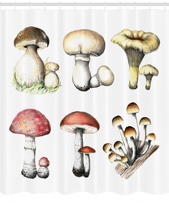 Hand Drawn Fungus Mushroom Shower Curtain - Unique and Artistic Bathroom Decor